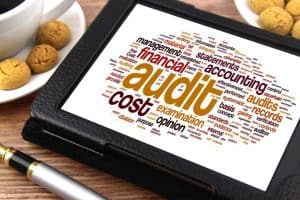 Auditing services