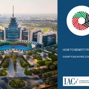 How to Benefit from Tax Exemptions in Free Zones