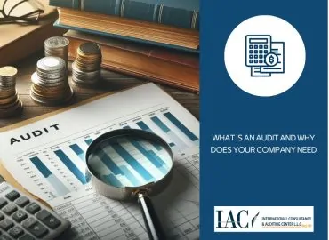 What Is an Audit and Why Does Your Company Need?